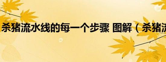 杀猪流水线的每一个步骤 图解（杀猪流水线）