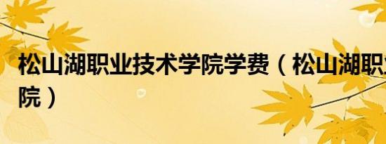 松山湖职业技术学院学费（松山湖职业技术学院）