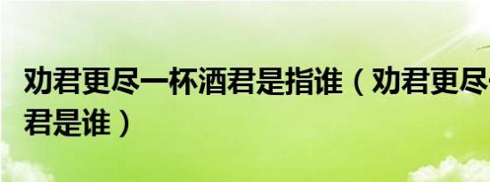劝君更尽一杯酒君是指谁（劝君更尽一杯酒的君是谁）