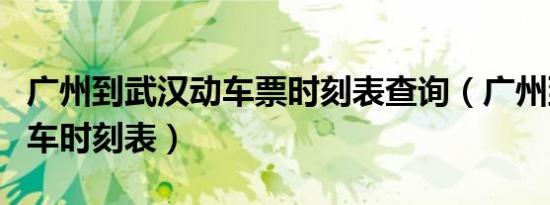 广州到武汉动车票时刻表查询（广州到武汉动车时刻表）