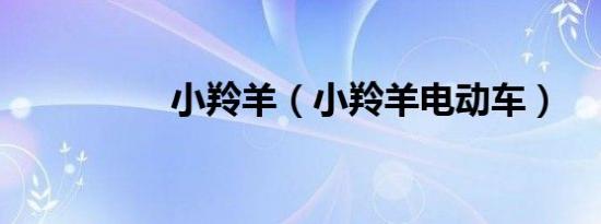 小羚羊（小羚羊电动车）