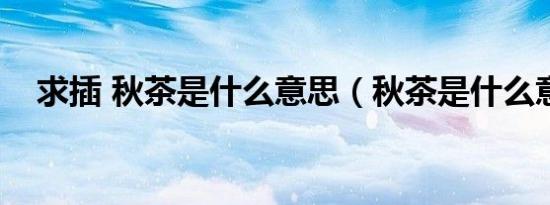 求插 秋茶是什么意思（秋茶是什么意思）
