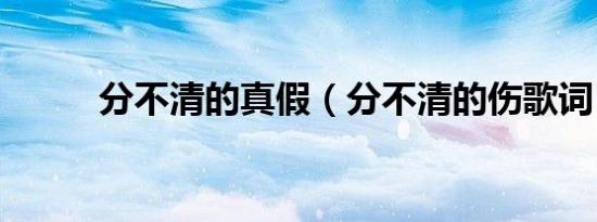 分不清的真假（分不清的伤歌词）