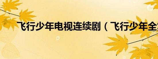 飞行少年电视连续剧（飞行少年全集）