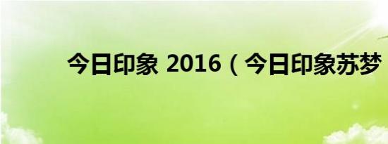 今日印象 2016（今日印象苏梦）