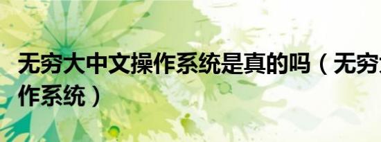 无穷大中文操作系统是真的吗（无穷大中文操作系统）