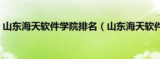 山东海天软件学院排名（山东海天软件学院）