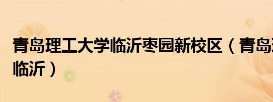 青岛理工大学临沂枣园新校区（青岛理工大学临沂）
