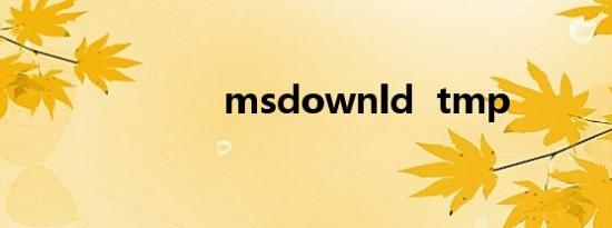 msdownld  tmp