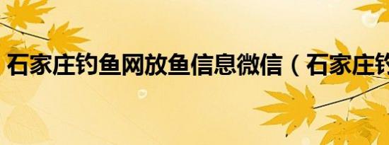 石家庄钓鱼网放鱼信息微信（石家庄钓鱼网）