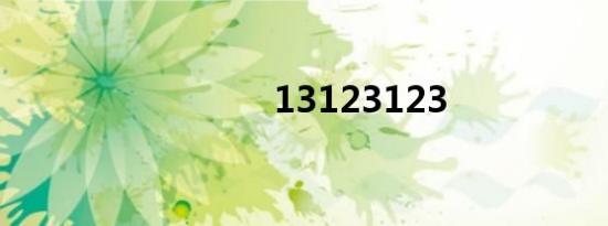 13123123