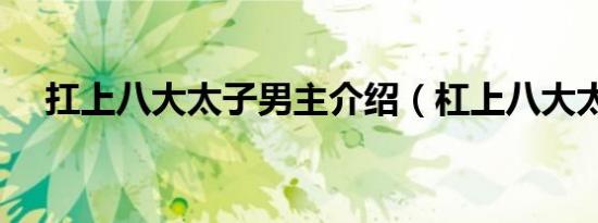 扛上八大太子男主介绍（杠上八大太子）