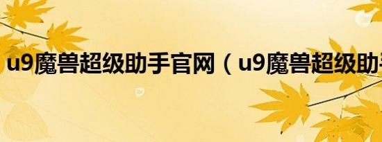 u9魔兽超级助手官网（u9魔兽超级助手4 9）