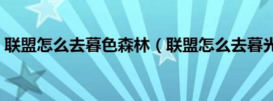 联盟怎么去暮色森林（联盟怎么去暮光高地）