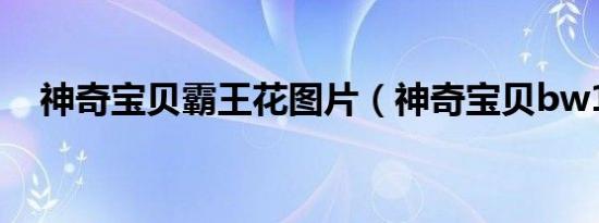 神奇宝贝霸王花图片（神奇宝贝bw116）