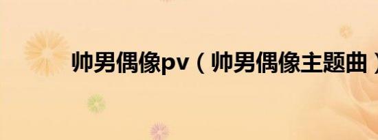 帅男偶像pv（帅男偶像主题曲）