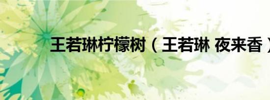王若琳柠檬树（王若琳 夜来香）