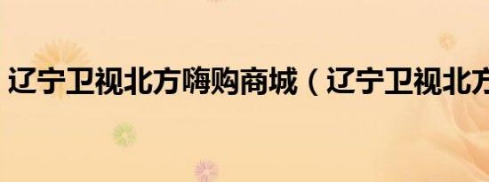 辽宁卫视北方嗨购商城（辽宁卫视北方影院）
