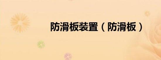 防滑板装置（防滑板）