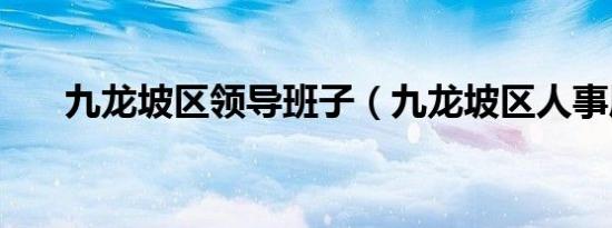 九龙坡区领导班子（九龙坡区人事局）