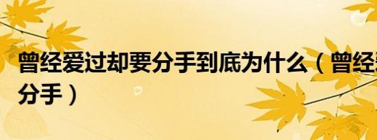 曾经爱过却要分手到底为什么（曾经爱过却要分手）