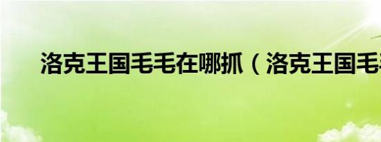 洛克王国毛毛在哪抓（洛克王国毛毛）
