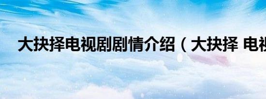 大抉择电视剧剧情介绍（大抉择 电视剧）