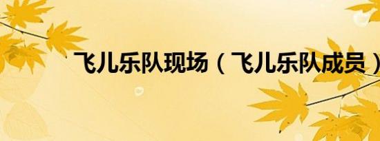 飞儿乐队现场（飞儿乐队成员）