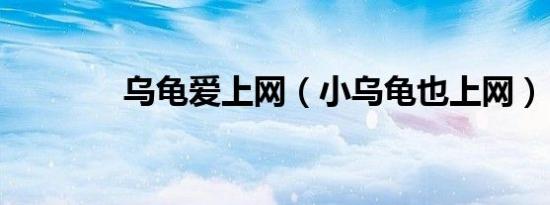 乌龟爱上网（小乌龟也上网）