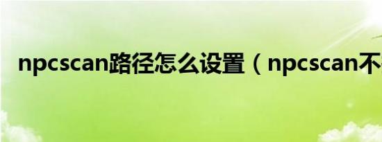 npcscan路径怎么设置（npcscan不报警）