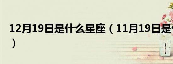 12月19日是什么星座（11月19日是什么星座）
