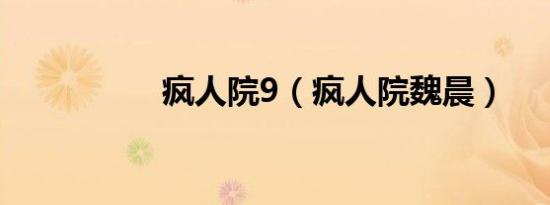 疯人院9（疯人院魏晨）