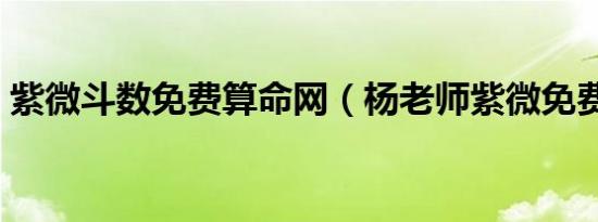 紫微斗数免费算命网（杨老师紫微免费算命）