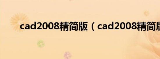 cad2008精简版（cad2008精简版）