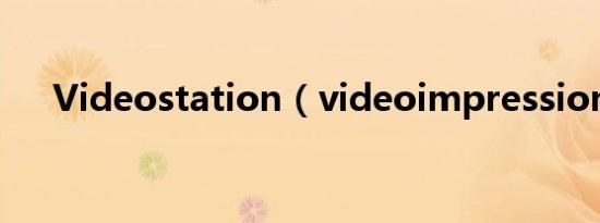 Videostation（videoimpression 2）