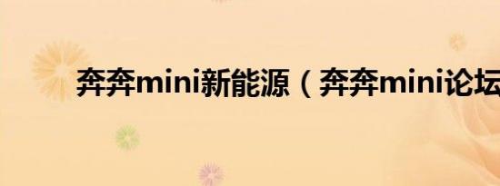 奔奔mini新能源（奔奔mini论坛）