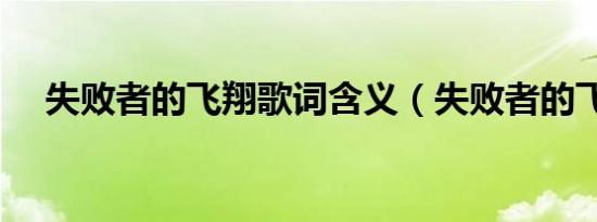 失败者的飞翔歌词含义（失败者的飞翔）