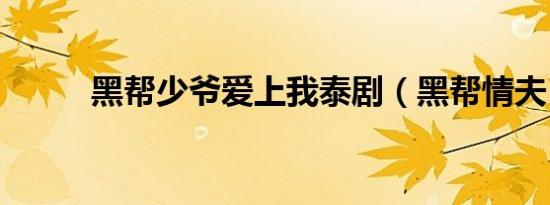 黑帮少爷爱上我泰剧（黑帮情夫）