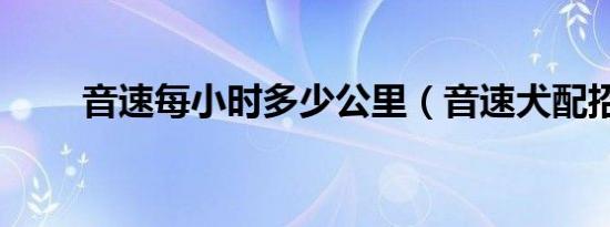 音速每小时多少公里（音速犬配招）