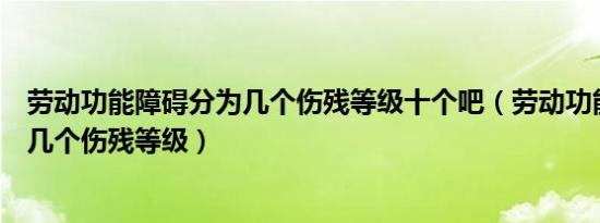 劳动功能障碍分为几个伤残等级十个吧（劳动功能障碍分为几个伤残等级）