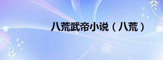 八荒武帝小说（八荒）