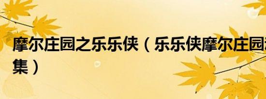 摩尔庄园之乐乐侠（乐乐侠摩尔庄园动画片全集）