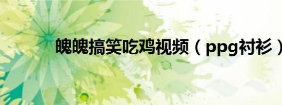 魄魄搞笑吃鸡视频（ppg衬衫）