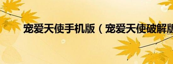 宠爱天使手机版（宠爱天使破解版）