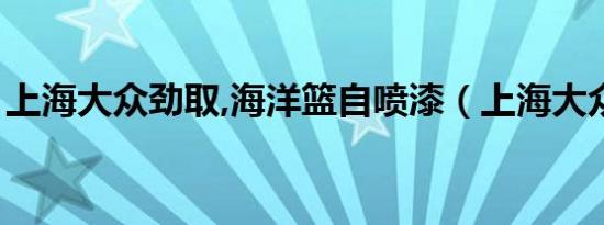 上海大众劲取,海洋篮自喷漆（上海大众劲取）