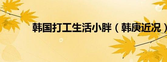 韩国打工生活小胖（韩庚近况）