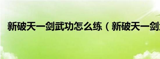 新破天一剑武功怎么练（新破天一剑武功）