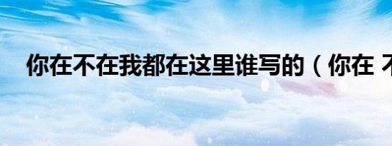 你在不在我都在这里谁写的（你在 不在）