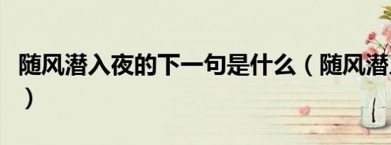 随风潜入夜的下一句是什么（随风潜入夜全诗）