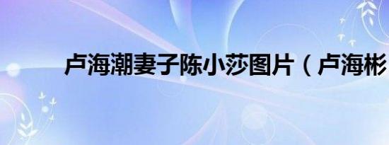卢海潮妻子陈小莎图片（卢海彬）